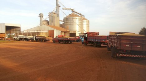 Safra de soja batendo recorde