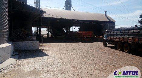 Safra de soja batendo recorde