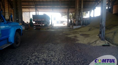 Safra de soja batendo recorde