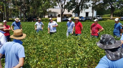 COMTUL realiza tour técnico em parceria com a Pioneer e a Fornutri Fertilizantes