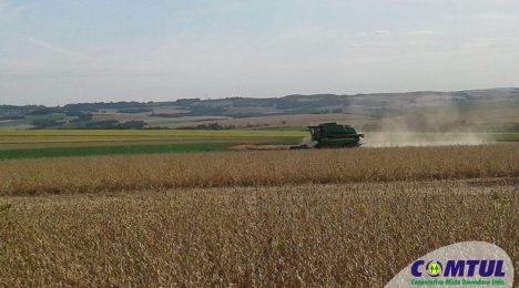 Safra de soja batendo recorde