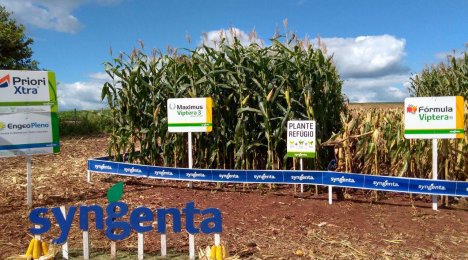 Tarde de Campo - CCGL