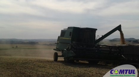 Safra de soja batendo recorde