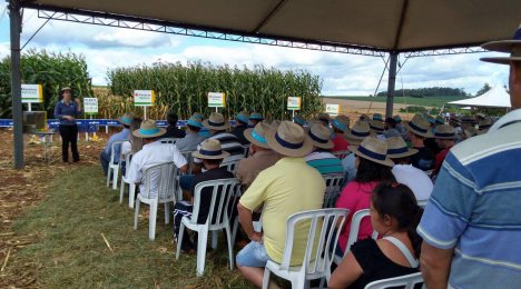 Tarde de Campo - CCGL