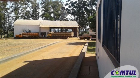 Safra de soja batendo recorde