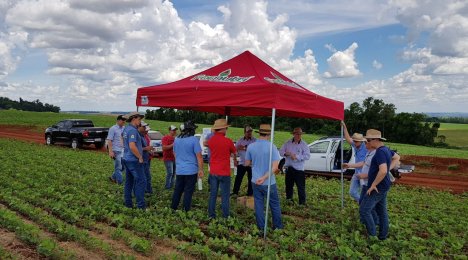 COMTUL realiza tour técnico em parceria com a Pioneer e a Fornutri Fertilizantes