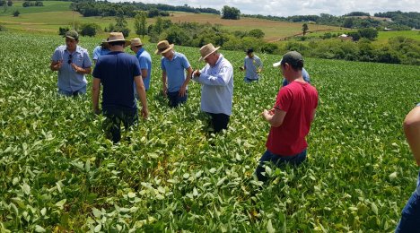 COMTUL realiza tour técnico em parceria com a Pioneer e a Fornutri Fertilizantes